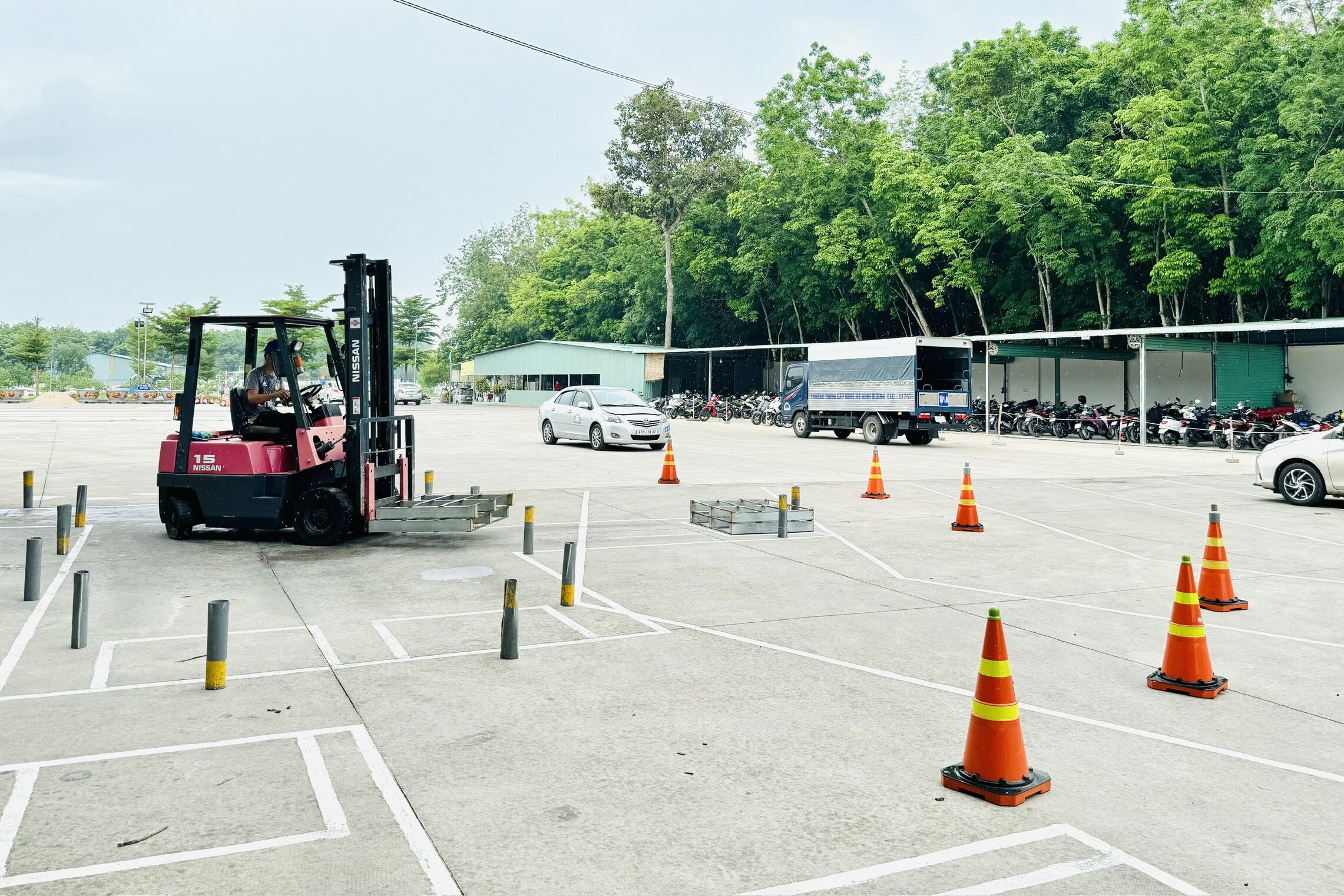 Khóa Học Lái Xe Nâng Hàng Tại Trường Trung Cấp Nghề Nghiệp Vụ Bình Dương